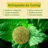 Brinquedo Para Gatos Abacate Catnip Erva Gato Natural